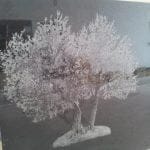 Grabado láser en Albacete | Mármoles Simón Arte funerario